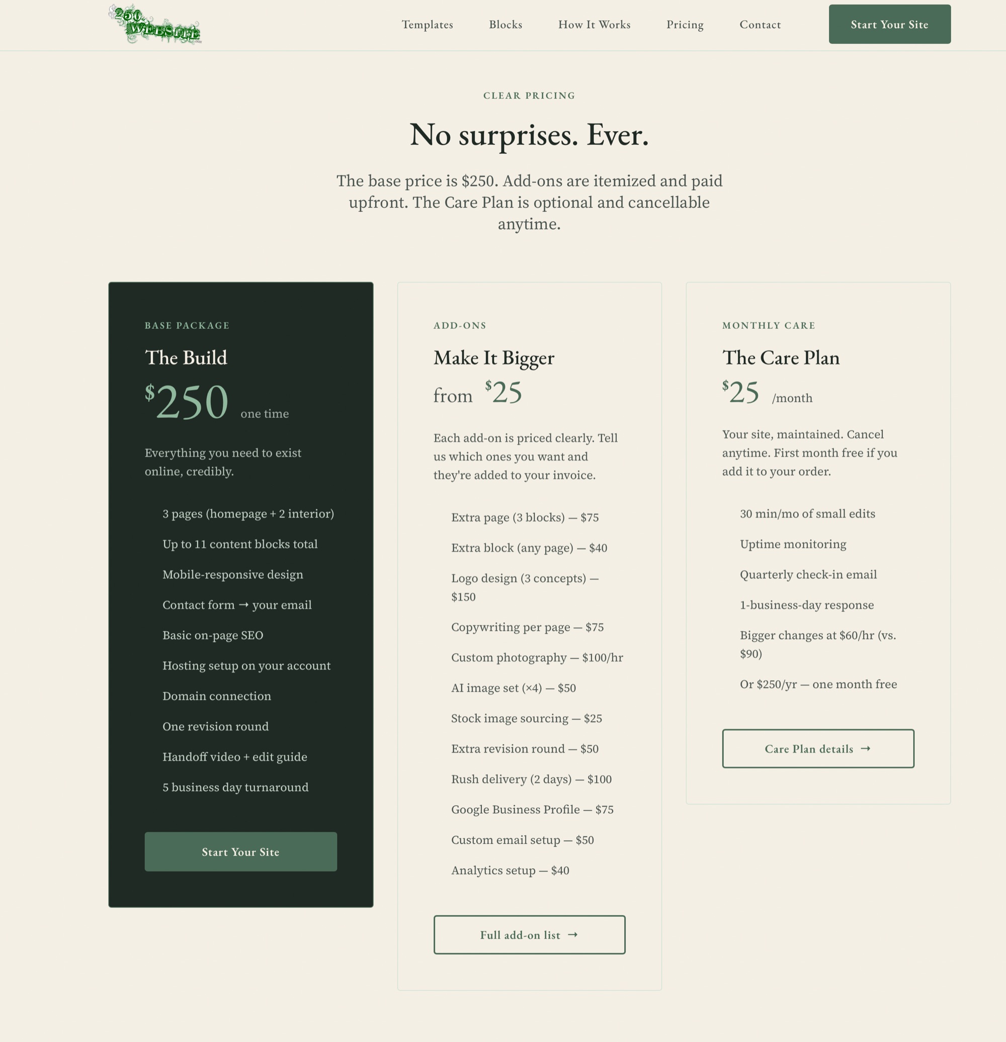 250Website &mdash; pricing with the $250 build, add-ons, and the monthly Care Plan