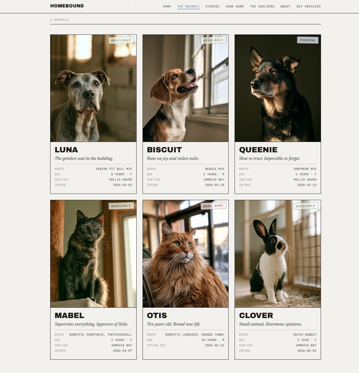 Homebound website &mdash; The Animals page, a grid of six animal cards with status tags