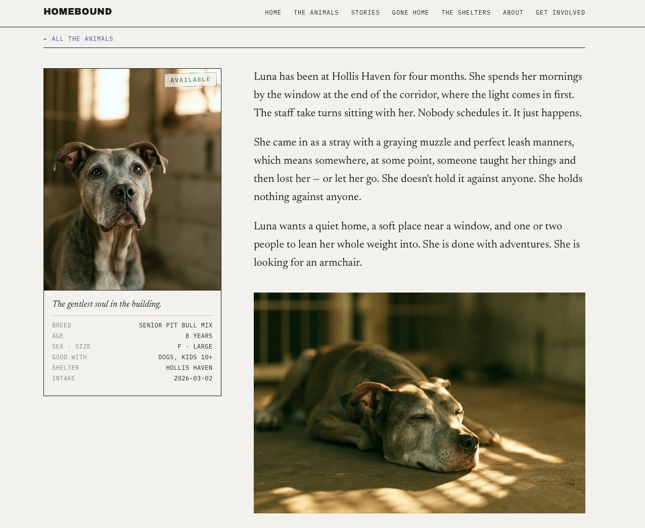 Homebound website &mdash; Luna&rsquo;s profile page with her card and a written portrait