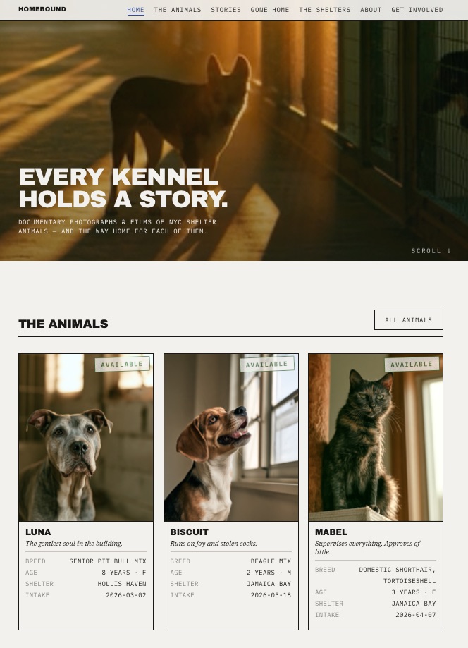 Homebound Shelter Stories Website